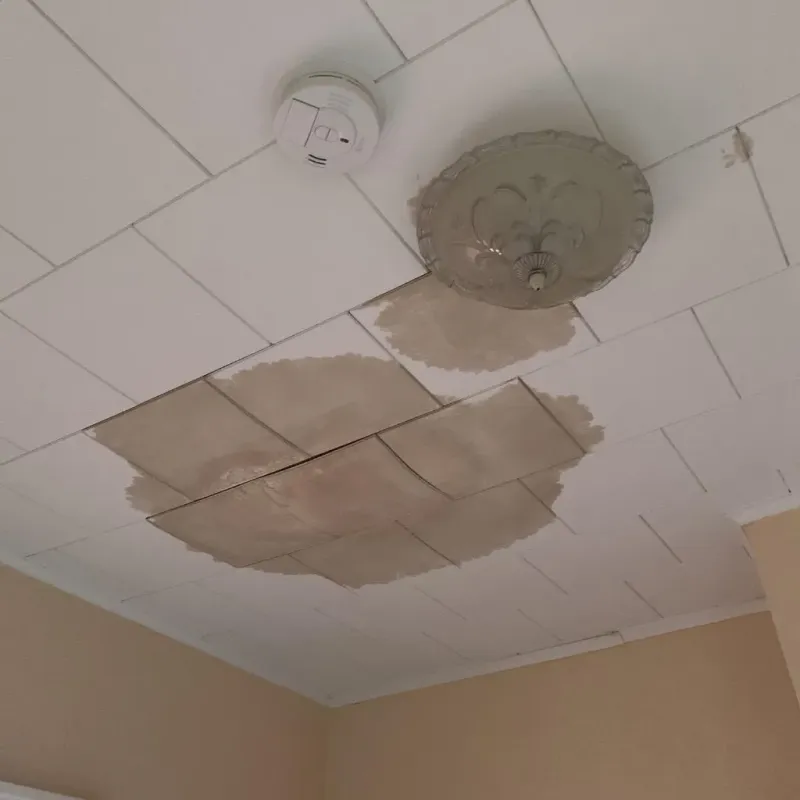 Ceiling Water Damage Repair in Bangor, MI