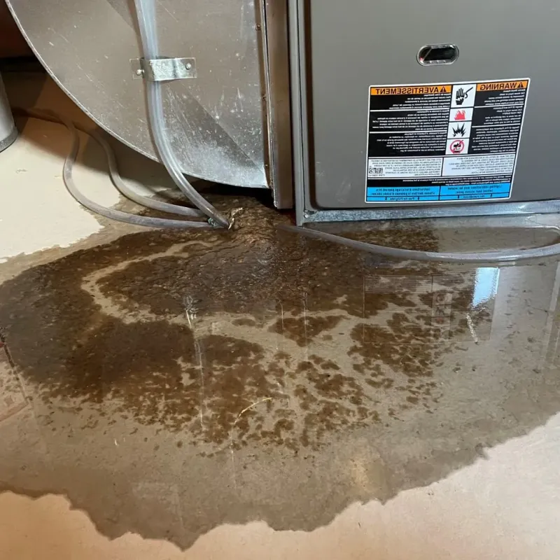 Pipe Burst and Leak Restoration in Bangor, MI