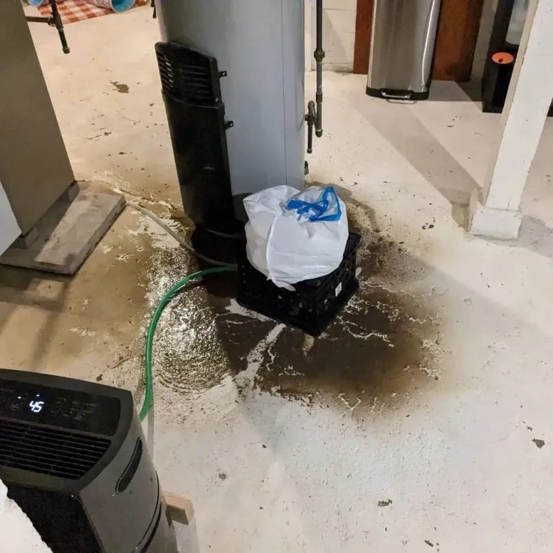 Sewage Backup Cleanup Service in Bangor, MI